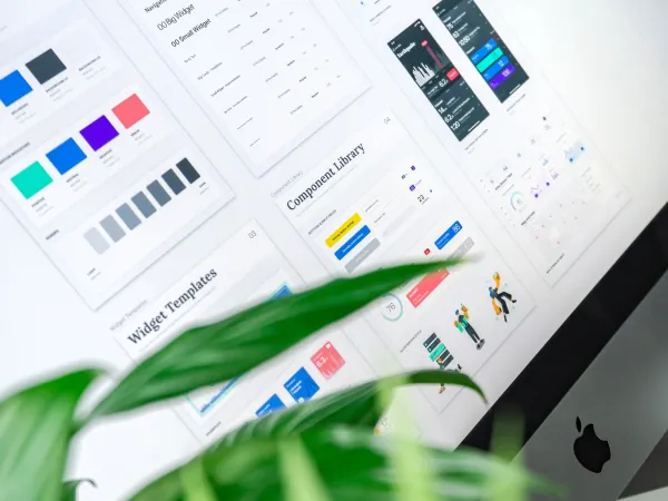 brand design services